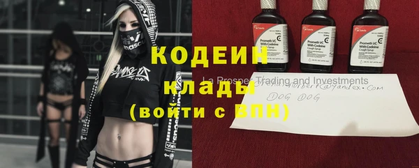 прущие грибы Абдулино