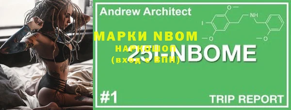 прущие грибы Абдулино