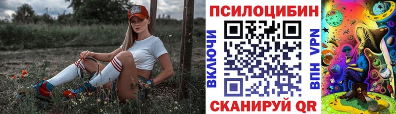 Псилоцибиновые грибы Psilocybine cubensis Красково