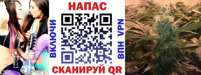 Конопля SATIVA & INDICA  Красково 